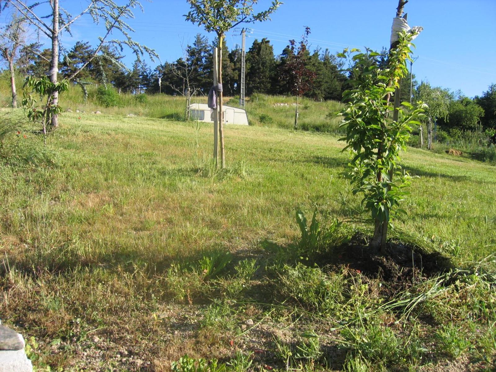 Lozere Aubrac Margeride Promo Apartman Saint-Alban-sur-Limagnole Kültér fotó