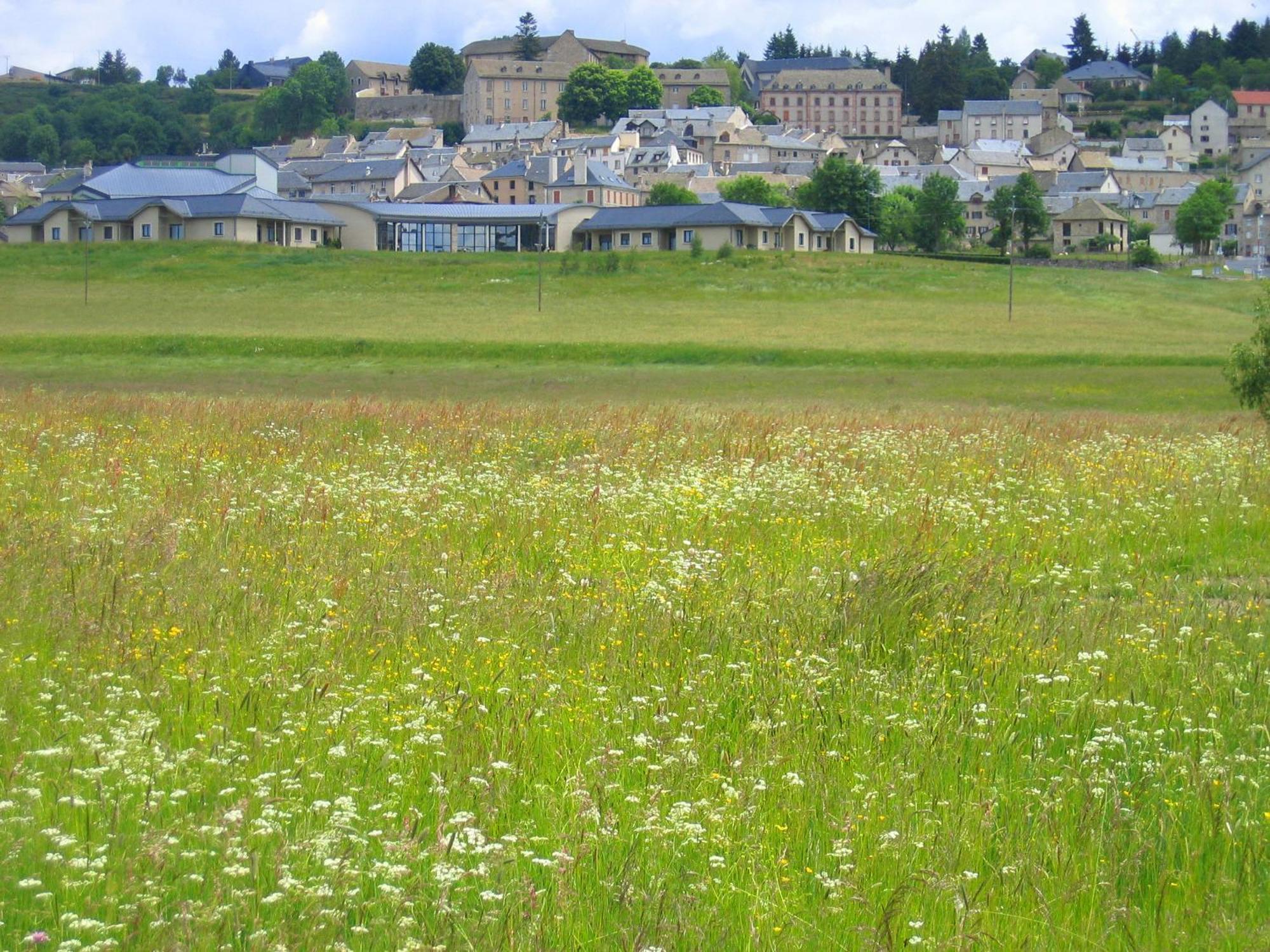 Lozere Aubrac Margeride Promo Apartman Saint-Alban-sur-Limagnole Kültér fotó